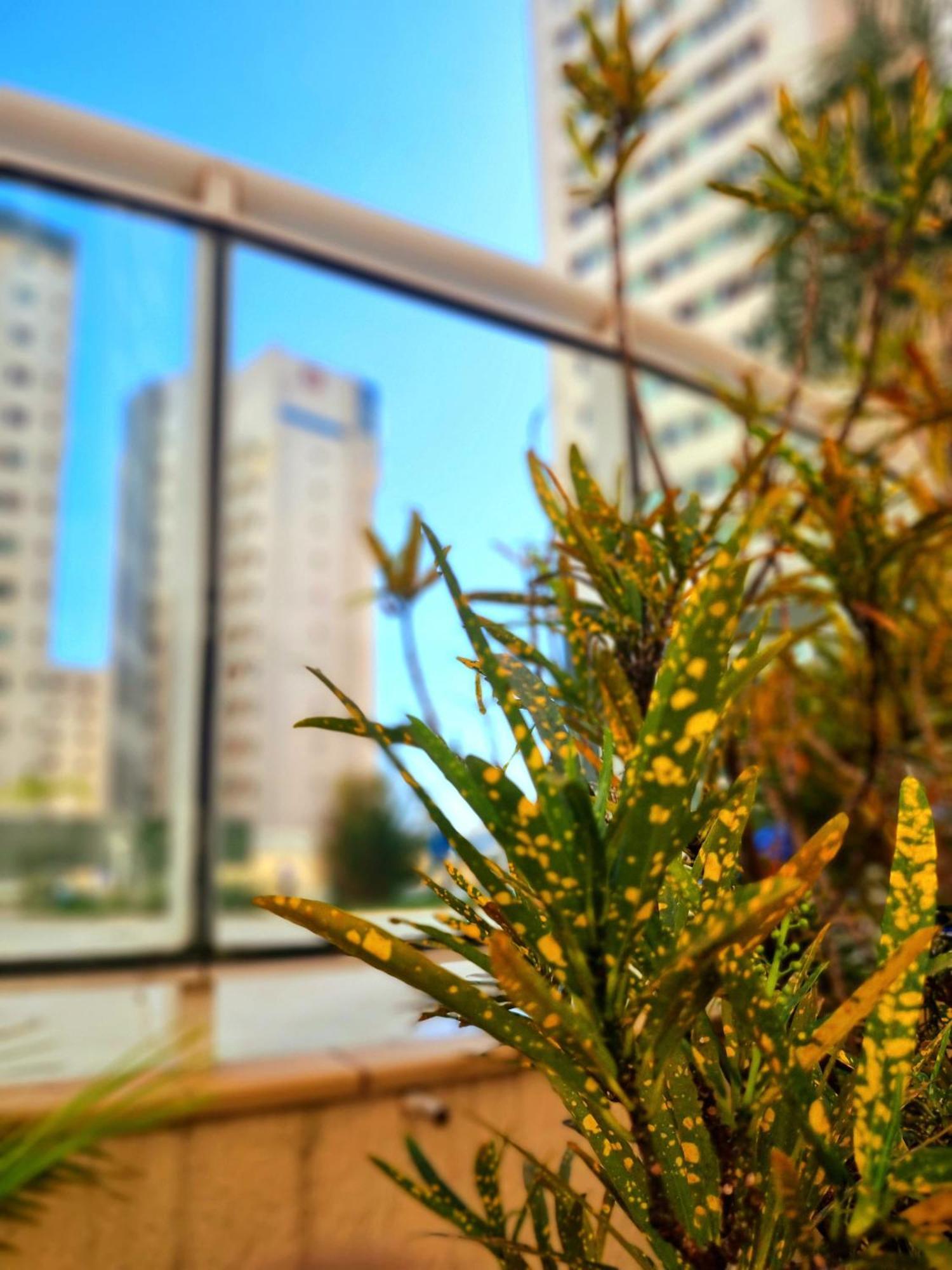 Apartamento Conforto, Lazer E Localizacao Privilegiada Voce E Sua Familia